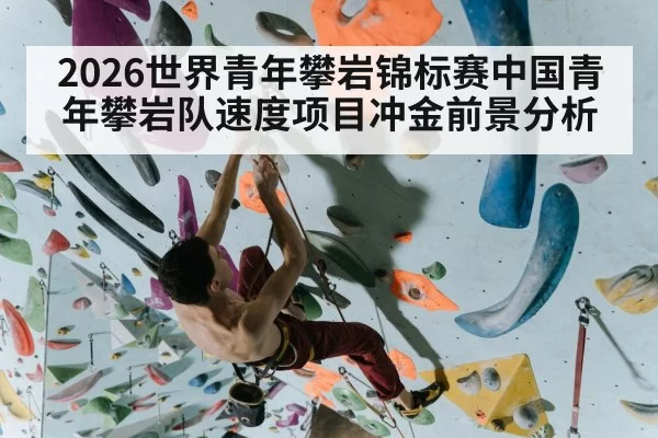 2026世界青年攀岩锦标赛中国青年攀岩队速度项目冲金前景分析